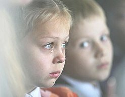 Размышления о современной школе